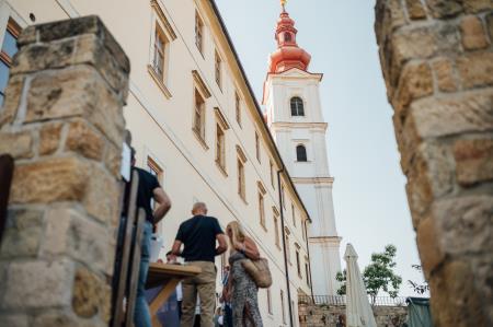 2022_06_Obcina_Sveta_Trojica_Trojicafest_drugi_dan_foto_Bostjan_Podlogar_002 (1)
